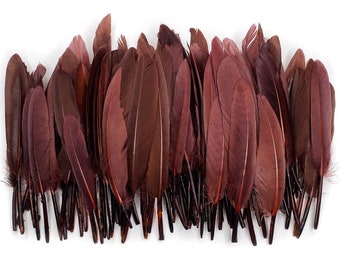 10 pcs Brown Duck Feathers 4-6" Dyed Duck Loose Wholesale Cochettes Bulk Feathers