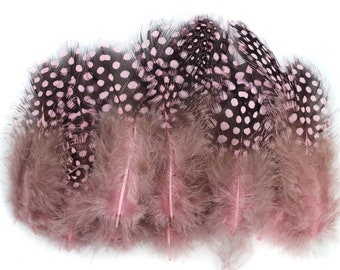 10 pcs Pink Guinea Feathers 1-4" Stripped Small Body Plumage Feathers