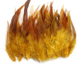 Gold Rooster Feathers, 10 Pieces, 4-6" inches