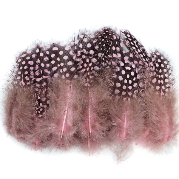 10 pcs Pink Guinea Feathers 1-4" Stripped Small Body Plumage Feathers