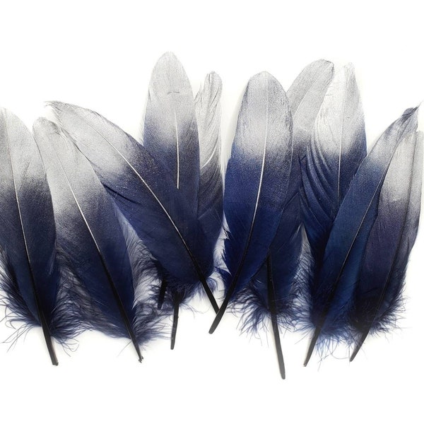 Navy Blue Feather Etsy