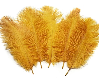 10 pcs Gold Ostrich Feathers 6-8" Dyed Wedding Craft Carnival Centerpiece Feathers