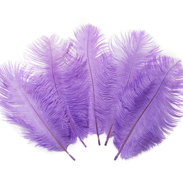 10 pcs Light Purple Ostrich Feathers 6-8" Dyed Wedding Craft Carnival Centerpiece Feathers