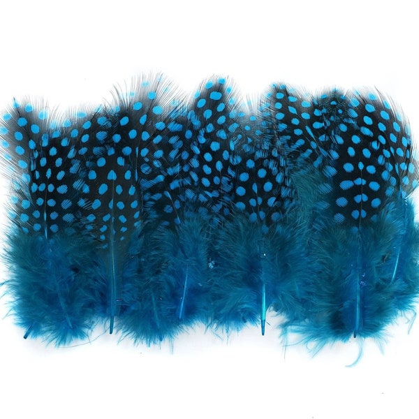 50 pcs Blue Guinea Feathers 1-4" Stripped Small Body Plumage Feathers