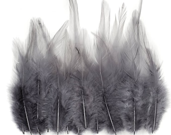 Dark Gray Rooster Feathers, 10 Pieces, 3-5" inches