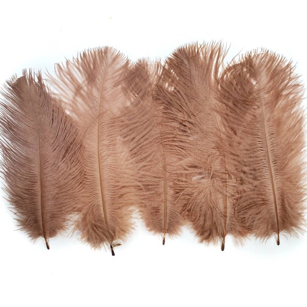 10 pcs Light Brown Ostrich Feathers 6-8" Dyed Wholesale Wedding Craft Carnival Centerpiece Feathers