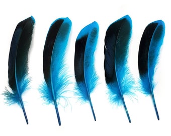 10 pcs Light Blue Duck Feathers 4-6" Dyed Duck Loose Wholesale Cochettes Bulk Feathers