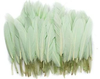 10 pcs Mint Green Duck Feathers 4-6" Dyed Duck Loose Wholesale Cochettes Bulk Feathers