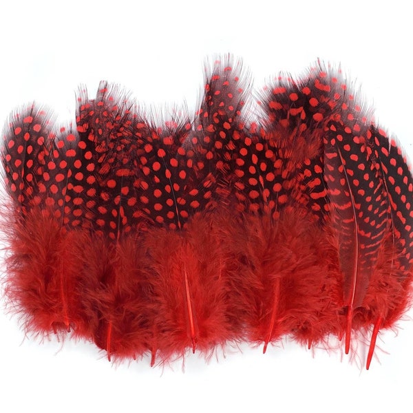 10 pcs Red Guinea Feathers 1-4" Stripped Small Body Plumage Feathers