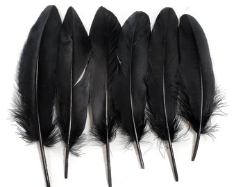 10 pcs Black Goose Feathers 5-9" Wholesale Quill Satinettes Loose Goose Feathers