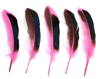 10 pcs Light Pink Duck Feathers 4-6" Dyed Duck Loose Wholesale Cochettes Bulk Feathers