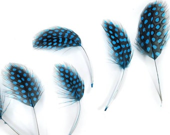 6 pcs Blue Guinea Feathers 1-4" Stripped Small Body Plumage Feathers