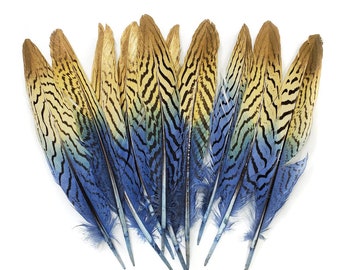 5 pcs Blue Yellow with Gold Tip Pheasant Feathers 7-9" Dyed Large Wing Tail Feathers