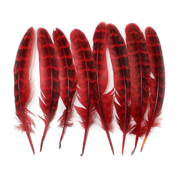 10 pcs Red Pheasant Feathers 4-6" Dyed Wing Tail Feathers