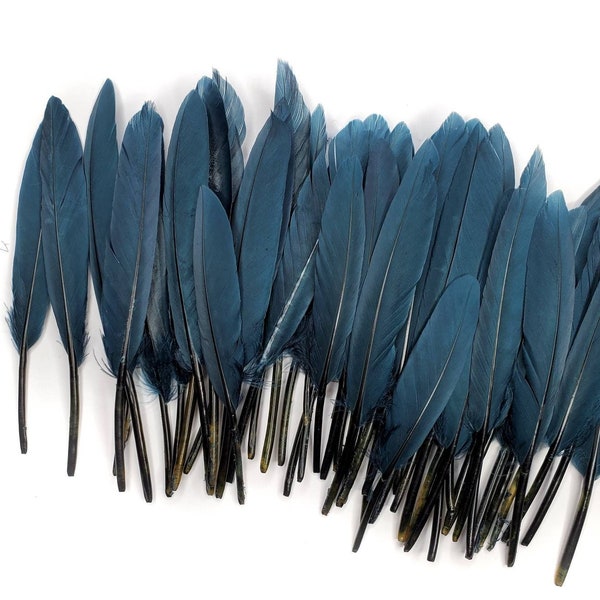 10 pcs Dark Navy Blue Duck Feathers 4-6" Dyed Duck Loose Wholesale Cochettes Bulk Feathers