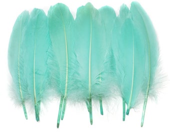 100 pcs BULK Mint Blue Goose Feathers 5-9" Wholesale Quill Satinettes Loose Goose Feathers