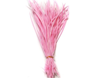 10 pcs Light Pink Goose Biot Feathers 5-7" Wholesale Stripped Biot Loose Goose Feathers