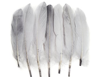 100 Pcs BULK Brown Goose Feathers 5-8 Wholesale Quill Satinettes Loose  Goose Feathers 