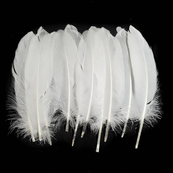 10 pcs White Goose Feathers 5-9" Wholesale Quill Satinettes Loose Goose Feathers