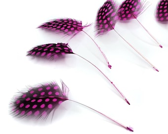 6 pcs Hot Pink Guinea Feathers 1-4" Stripped Small Body Plumage Feathers