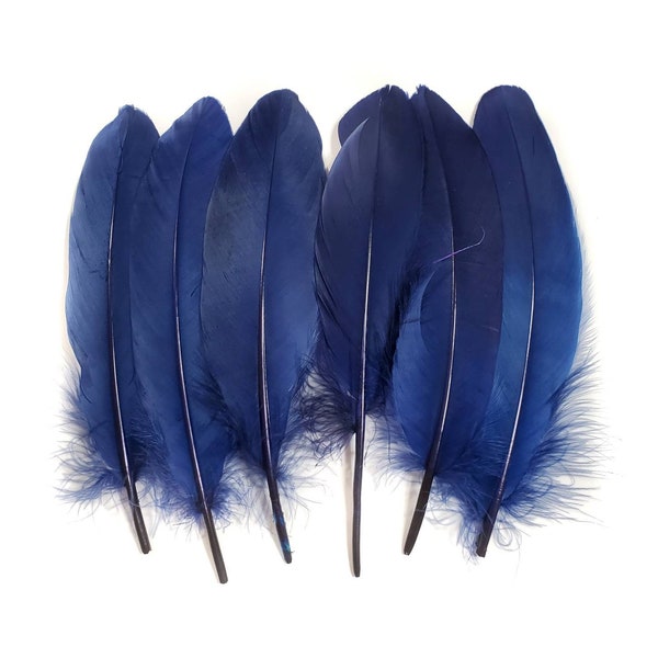 10 pcs Navy Blue Goose Feathers 5-9" Wholesale Quill Satinettes Loose Goose Feathers