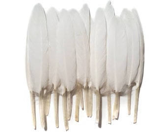 10 pcs White Duck Feathers 4-6" Dyed Duck Loose Wholesale Cochettes Bulk Feathers
