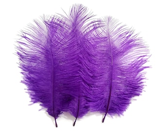 10 pcs Purple Ostrich Feathers 6-8" Dyed Wedding Craft Carnival Centerpiece Feathers