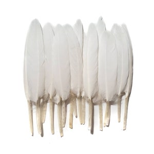 10 pcs White Duck Feathers 4-6" Dyed Duck Loose Wholesale Cochettes Bulk Feathers