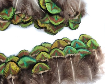 10 pcs Small Royal Green Peacock Feathers 1-1.5" Plumage Body Loose Feathers