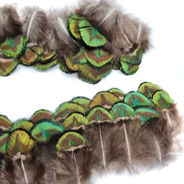 10 pcs Small Royal Green Peacock Feathers 1-1.5" Plumage Body Loose Feathers