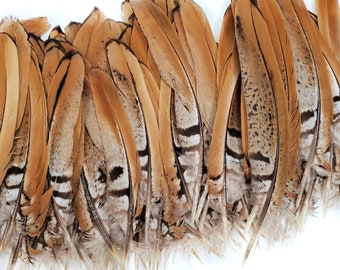 10 pcs Reeves Pheasant Wing Feathers 3.5-5" Natural Brown Wing Feathers