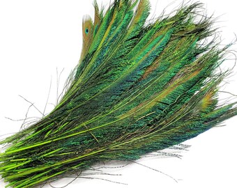 Green 10 pcs Peacock Sword Feathers 10-12" Dyed Large Peacock Tail Feathers