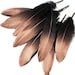 see more listings in the Hand Painted Feathers section