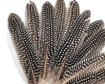 5 pcs Large Guinea Feathers 6-8" Large Polka Dot Fowl Wing Feathers