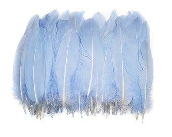 10 pcs Pale Blue Goose Feathers 5-9" Wholesale Quill Satinettes Loose Goose Feathers