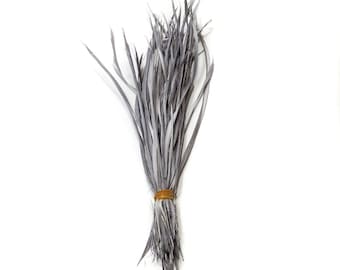 10 pcs Gray Goose Biot Feathers 5-7" Wholesale Stripped Biot Loose Goose Feathers