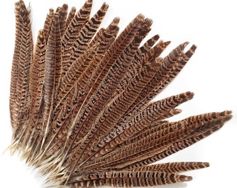 10 pcs Golden Pheasant Tail Feathers 9-10.5" Natural Brown Loose Body Wing Feathers