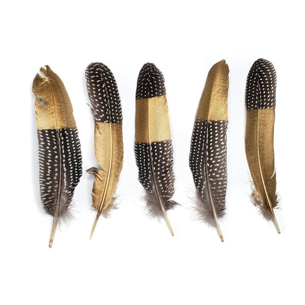5 pcs Large Gold Guinea Feathers 6-8" Large Polka Dot Fowl Wing Feathers