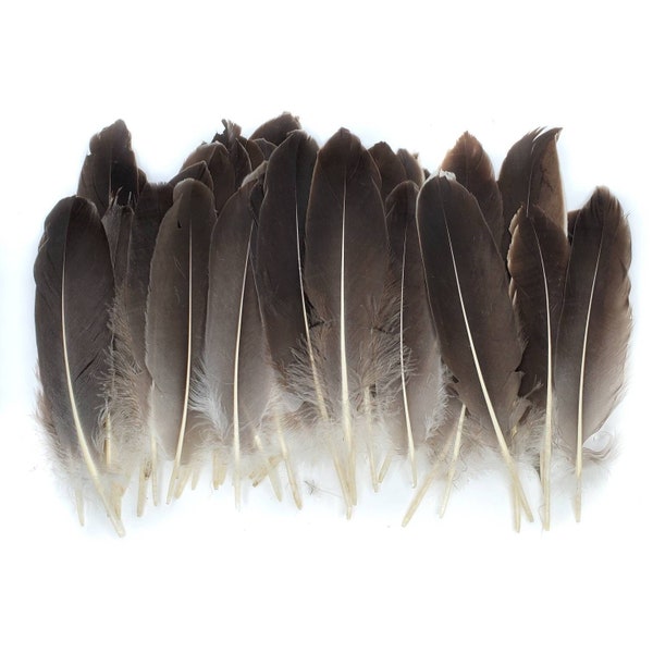 10 pcs Natural Gray Goose Feathers 6-9" Wholesale Quill Satinettes Loose Goose Feathers