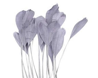 Eyelash Feathers, 10 Pieces - Gray Stripped Rooster Coque Tail Feathers