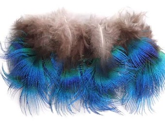 Blue Peacock Feathers, 10 Pieces, 1-2" Inches