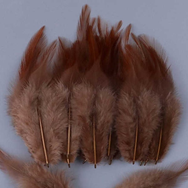 Brown Rooster Feathers, 10 Pieces, 3-5" inches