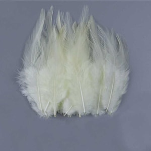 Cream Rooster Feathers, 10 Pieces, 3-5" inches