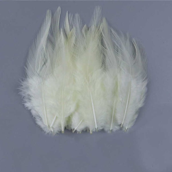 Cream Rooster Feathers, 10 Pieces, 3-5" inches