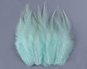 Mint Green Rooster Feathers, 10 Pieces, 3-5" inches