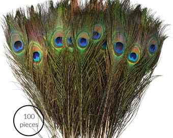 BULK 100 pcs Peacock Eye Feathers 9-10" Natural Large Peacock Feathers Wholesale