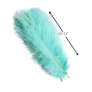  Moonlight Feathers  1 Pack - Mini Turquoise Blue Ostrich Small  Confetti Feathers 0.3 Ounces : Arts, Crafts & Sewing