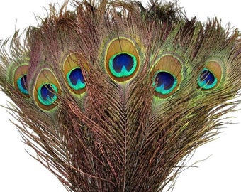 10 pcs Peacock Eye Feathers 9-10" Natural Large Peacock Feathers Wholesale