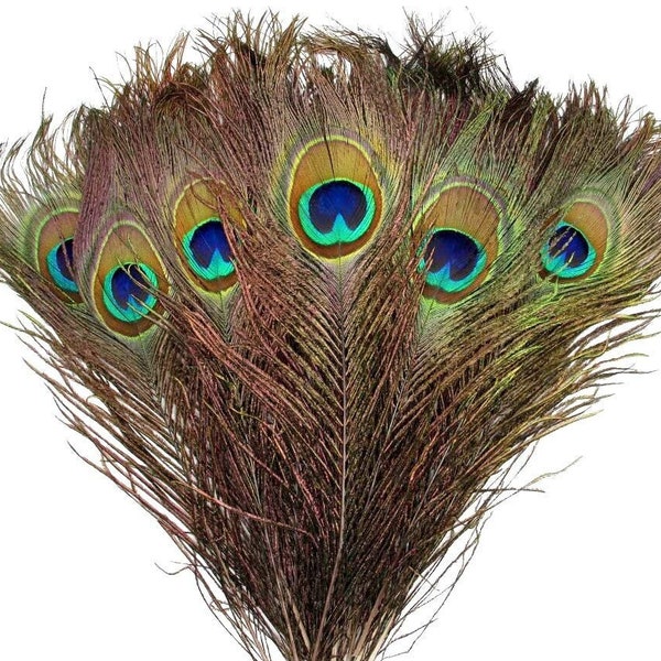 10 pcs Peacock Eye Feathers 9-10" Natural Large Peacock Feathers Wholesale