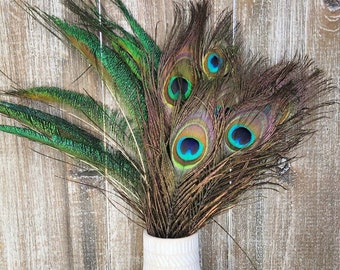 10 pcs Assorted Peacock Eye and Sword Feathers 9-10" Natural Large Peacock Feathers Wholesale